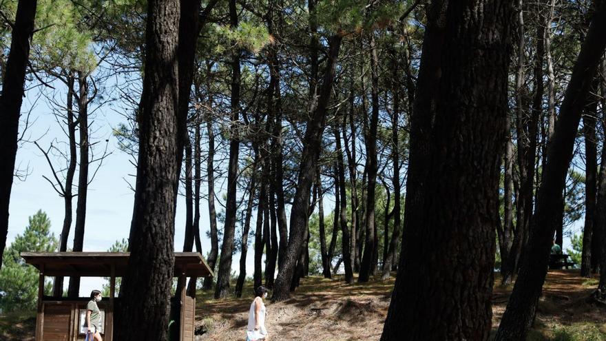 Castrillón saca a licitación el plan de prevención de incendios en San Juan de Nieva por casi 39.000 euros
