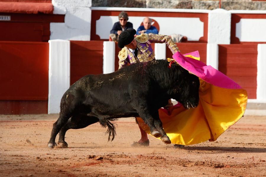 Tarde de toros en Zamora