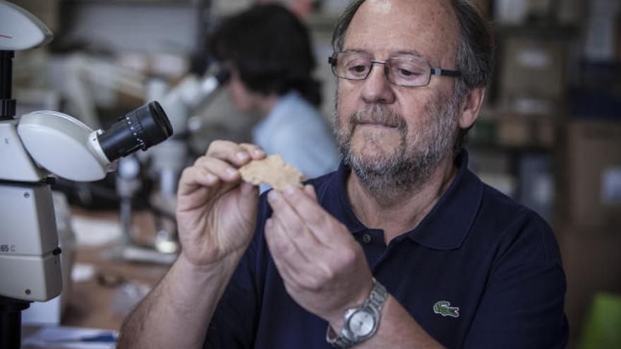 Valentín Villaverde observa uno de los fragmentos hallados en su despacho.