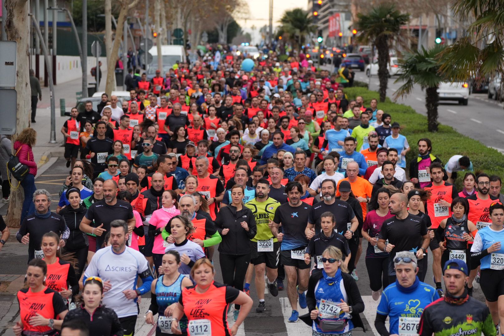 Búscate en las fotos: Las mejores imágenes del Marató bp y el 10K Facsa 2024 de Castelló