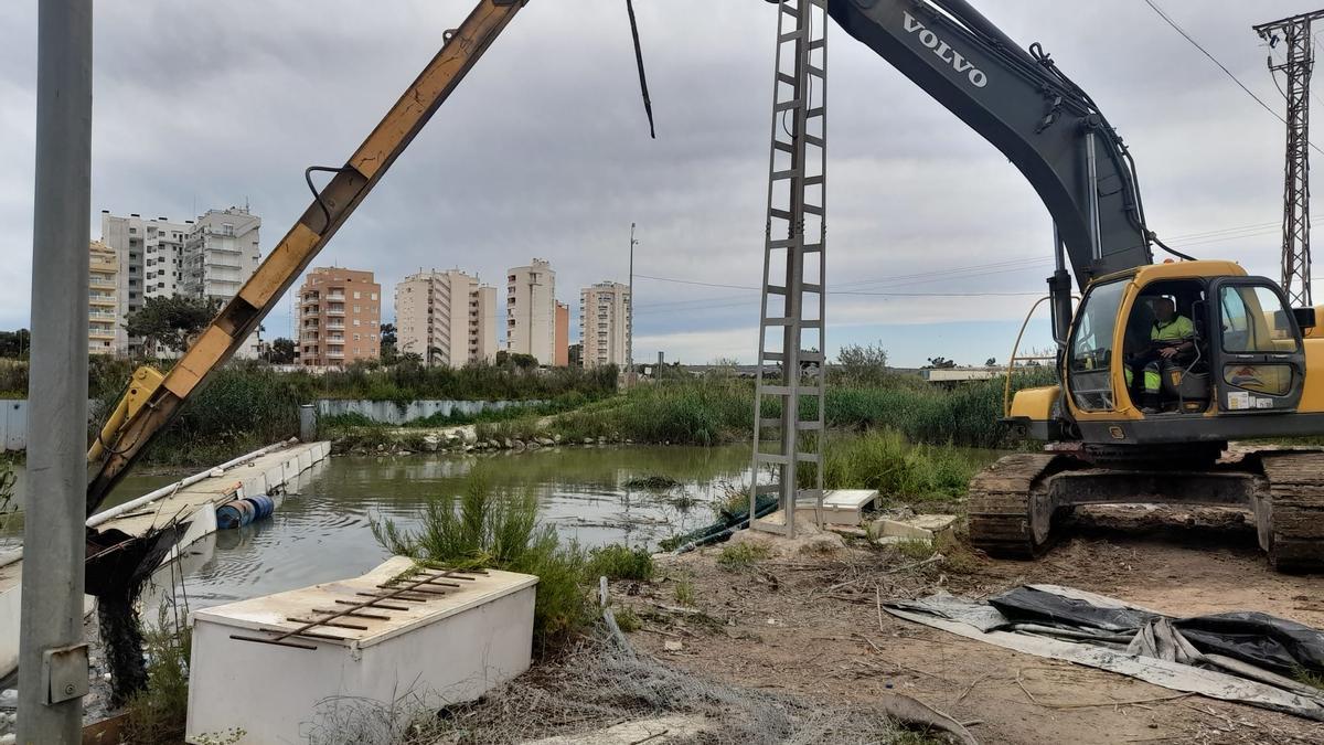 Retirada de residuos en la desembocadura del Segura por parte de la CHS