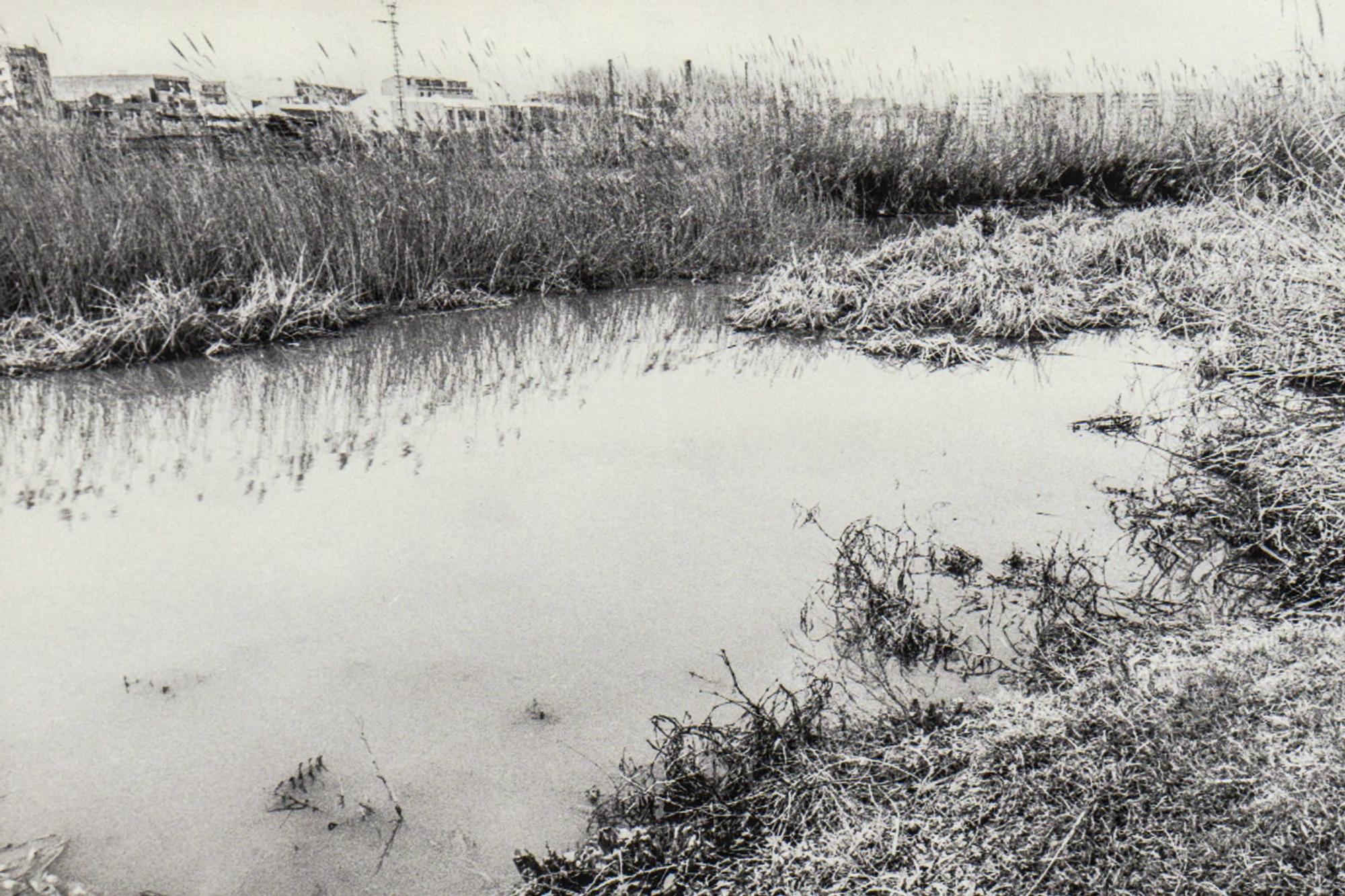 Así era el rio Turia en València antes de convertirse en un jardín