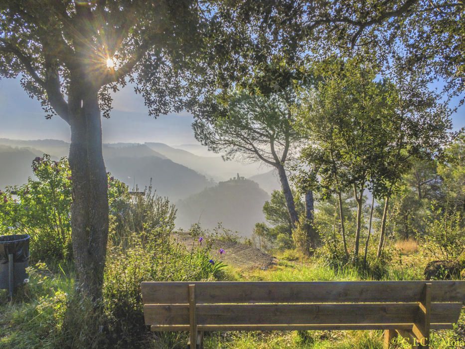 Albada al Moianès. Com podem veure, la primavera ja és aquí i ens deixa unes sortides del sol com aquesta, ben llampant i amb un bonic paisatge una mica emboirat, però amb un primer pla de plantes ben florides.