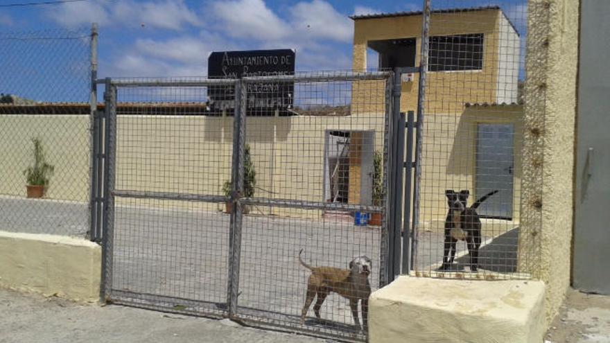 Los vecinos denuncian suciedad y maltrato en la perrera municipal