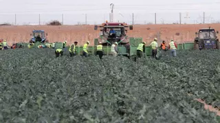 UPTA reivindica el aporte de los trabajadores extranjeros de más de 35.000 millones al PIB español