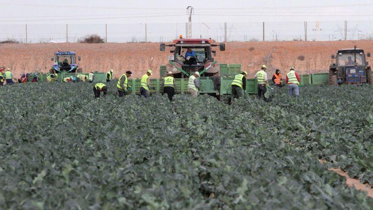 Trabajadores en el Campo de Cartagena