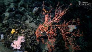 Resuelto un misterio del Titanic después de 26 años