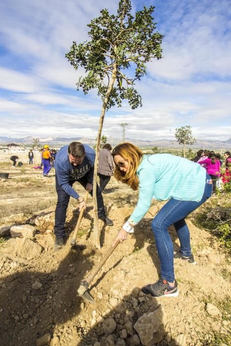 Proyecto para convertir la cantera de Cox en zona verde