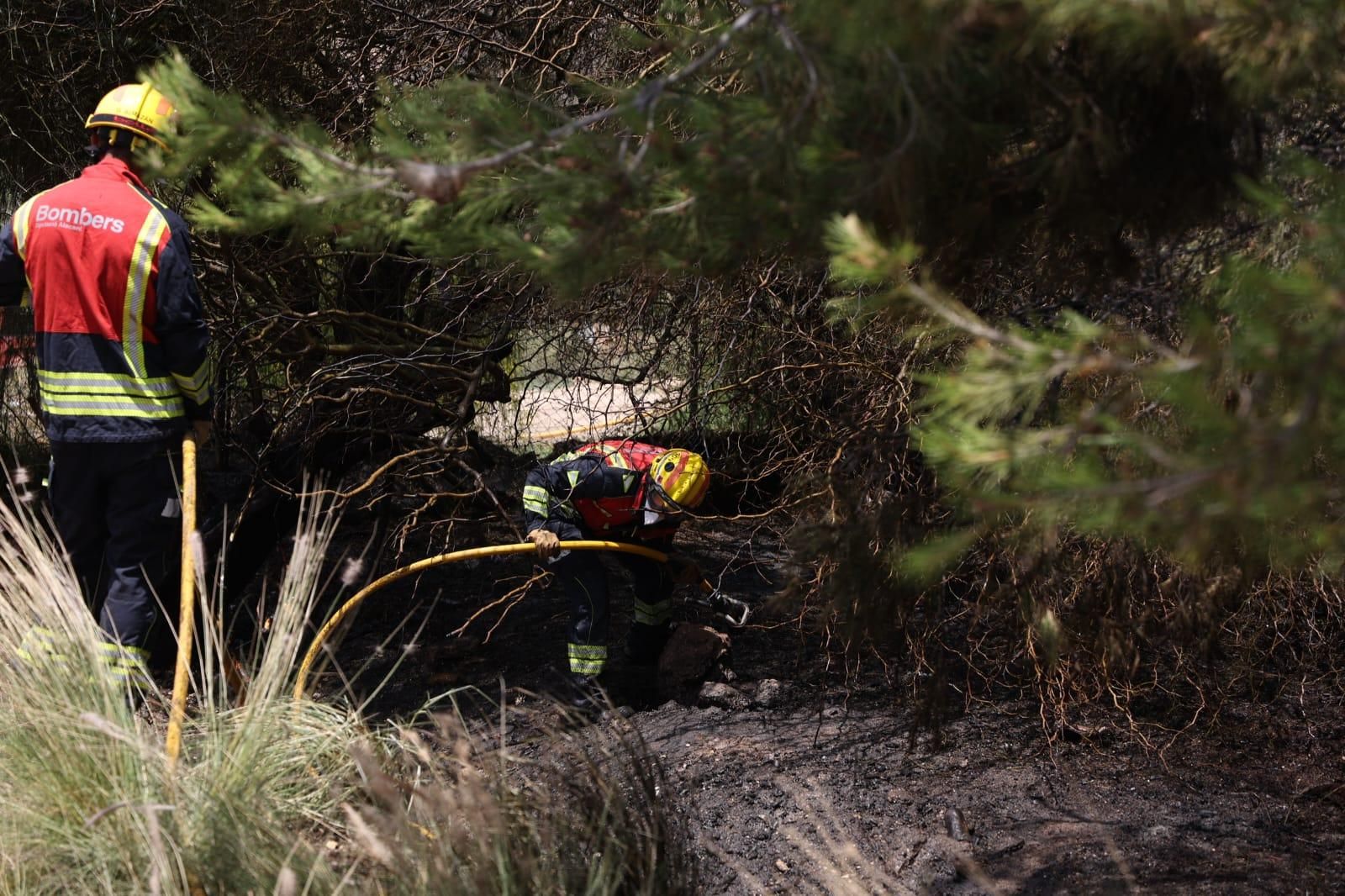 Los bomberos sofocan un fuego junto a la salida del túnel de la autovía
