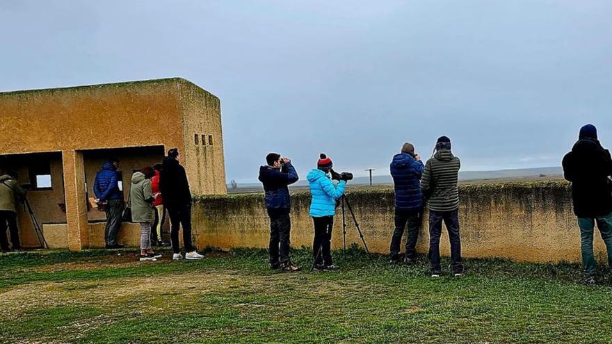 Visitantes observan aves en las Lagunas de Villafáfila. | Cedida