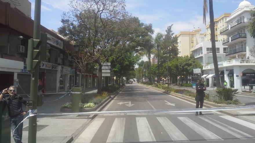 La avenida Ricardo Soriano