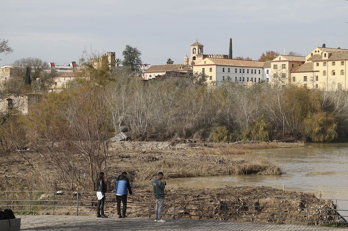 En imágenes el estado de la limpieza de los Sotos de la Albolafia