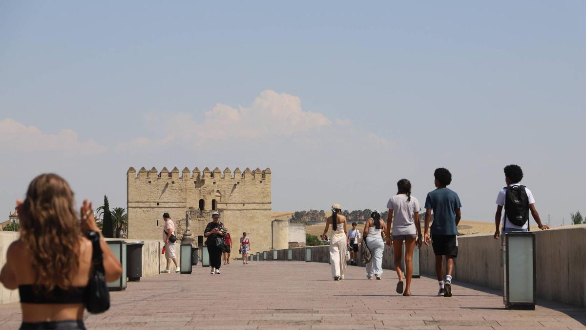 Viandantes en el Puente Romano.