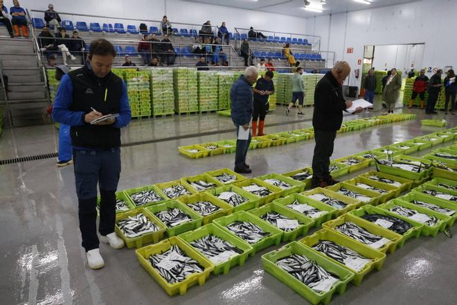 EN IMÁGENES: "Intensa y épica" descarga en Lonja Gijón: más de 65.000 cajas de bocarte y 550.000 kilos de pescado rulado