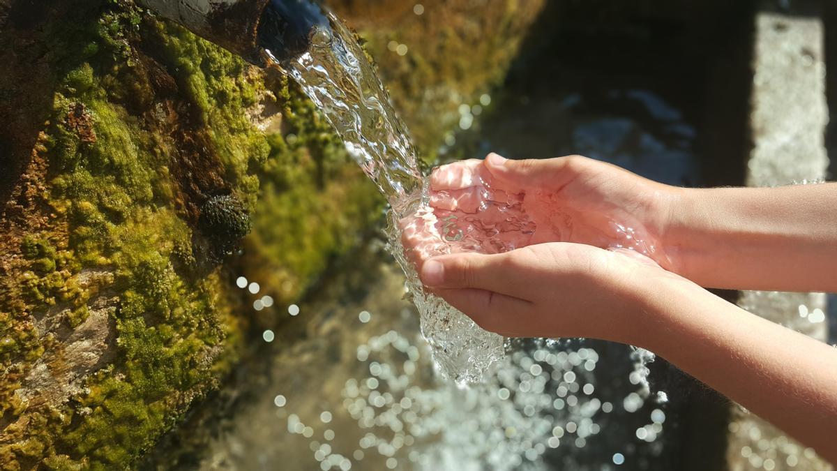 El cuidado del agua, al alcance de todos gracias a estos sencillos consejos  - La Opinión de Málaga