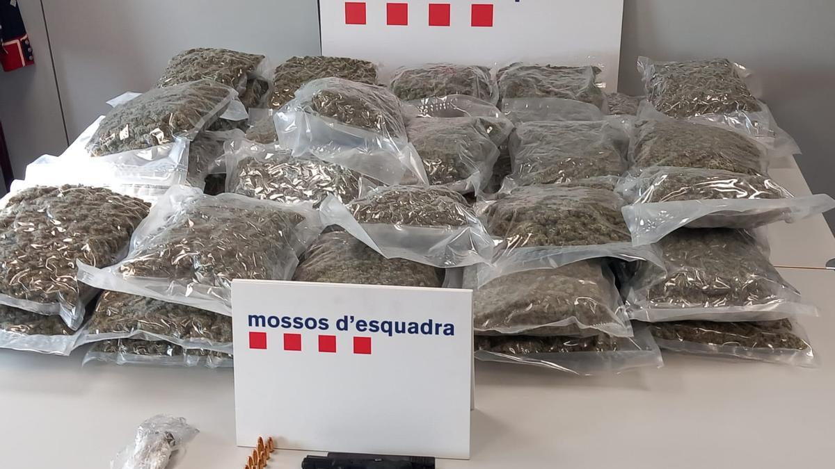 Imagen de la droga requisada