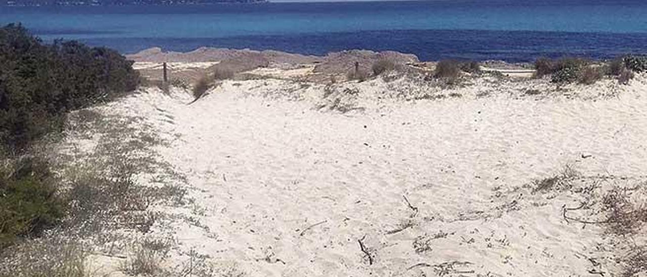 Los populares sospechan que se puede haber cogido arena del sistema dunar para regenerar la playa.
