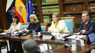 El Parlamento de Canarias constituye el Comité que pondrá en marcha el II Plan de Igualdad