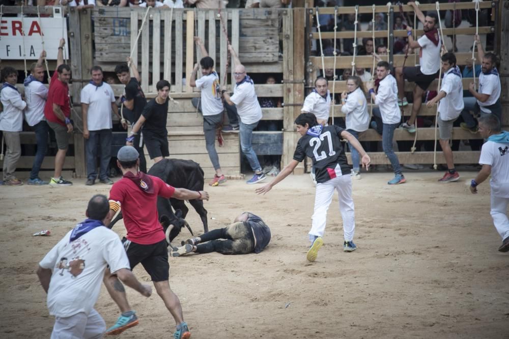 Corre de bou de diumenge a Cardona