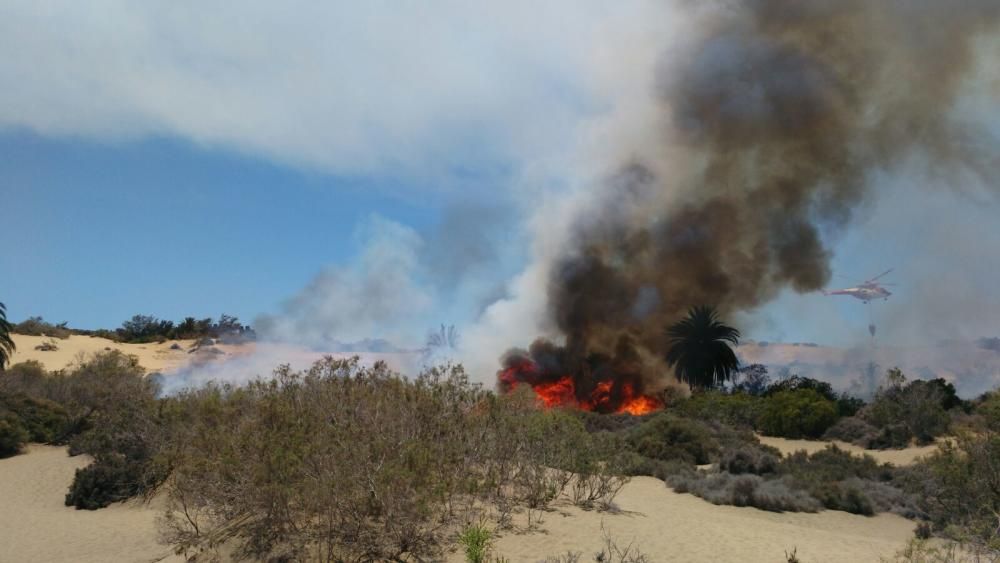 Incendio en las Dunas de Maspalomas