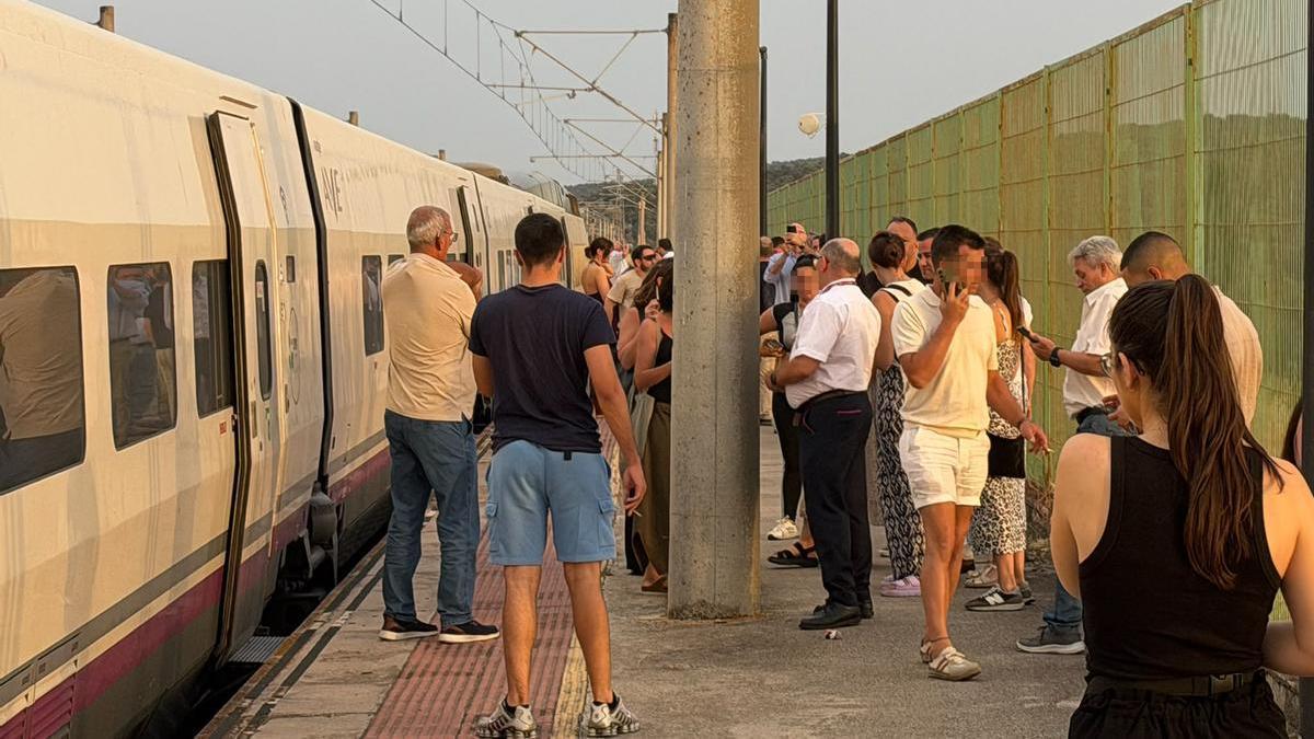 Uno de los trenes parados por la incidencia.
