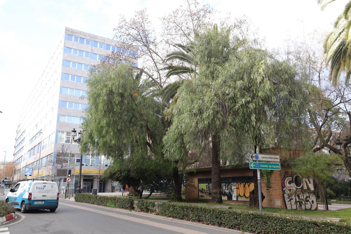 FOTOGALERÍA | La esperada reforma del Paseo de Cánovas de Cáceres, más cerca