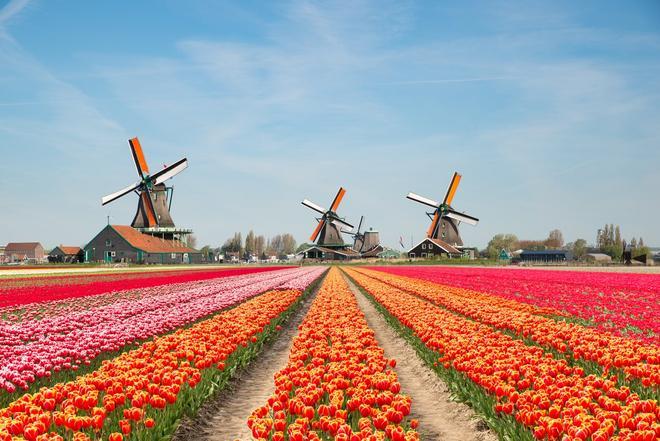 Keukenhof, en Países Bajos, ha sido otro de los galardonados en los Remarkable Venue Awards