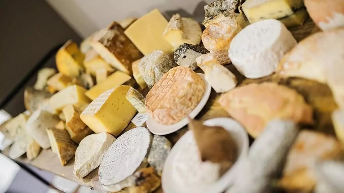 ¿Te gusta el queso? Tienes una cita con QuesArte Córdoba en Caballerizas Reales
