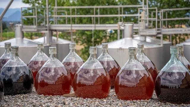 Vins reposant en damajoana a la Cooperativa de Garriguella. | COOPERATIVA DE GARRIGUELLA