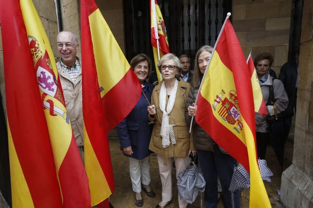 Manifestación en Oviedo por la unidad de España