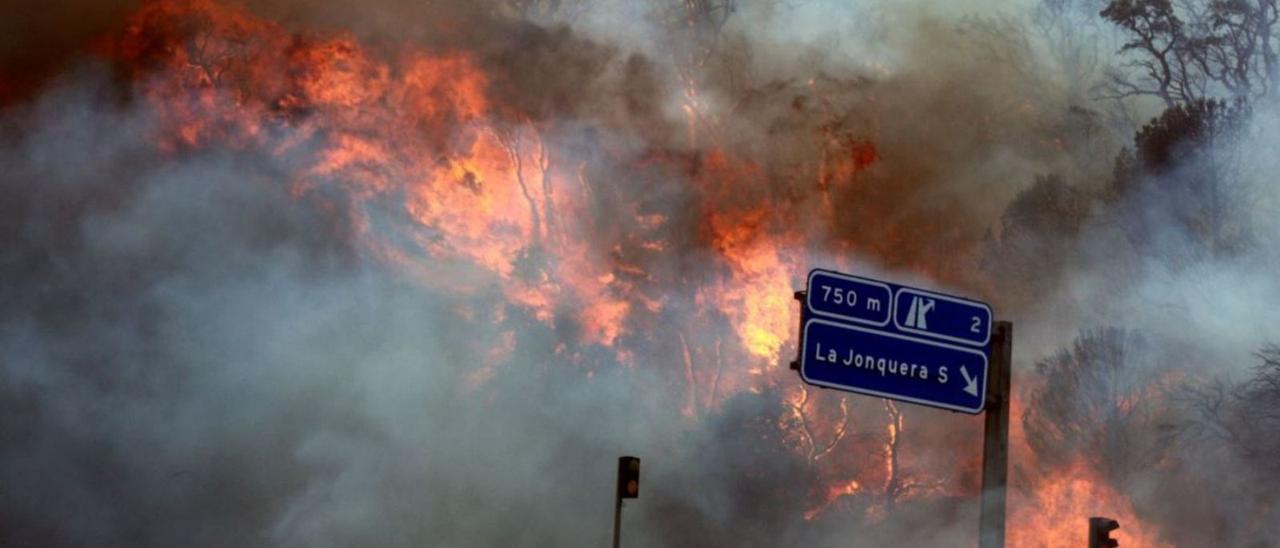 El foc del 2012 es va extendre al llarg de l’N-II i l’autopista, des de la Jonquera cap a Llers