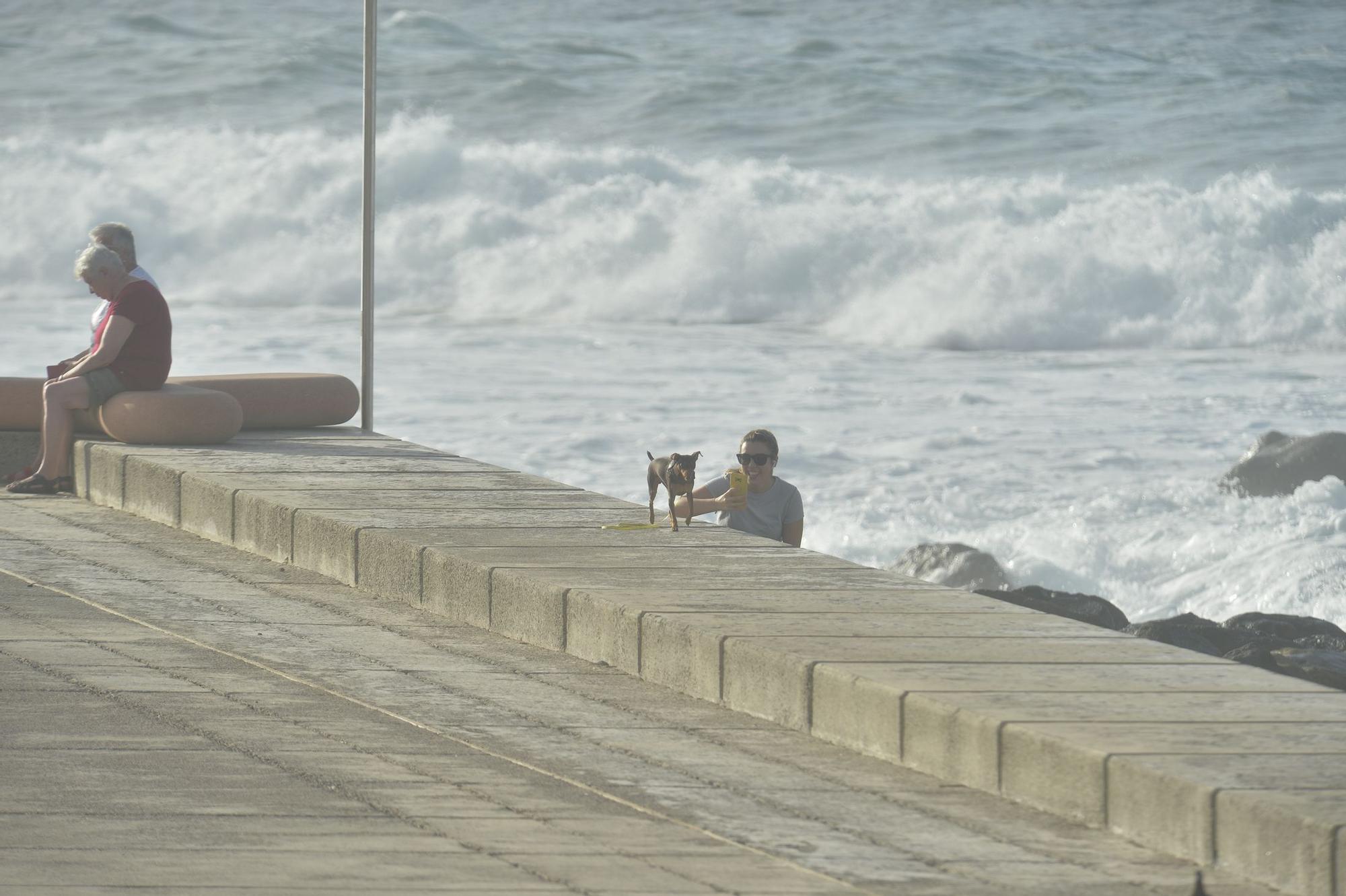 Olas en la Cícer (9/11/22)