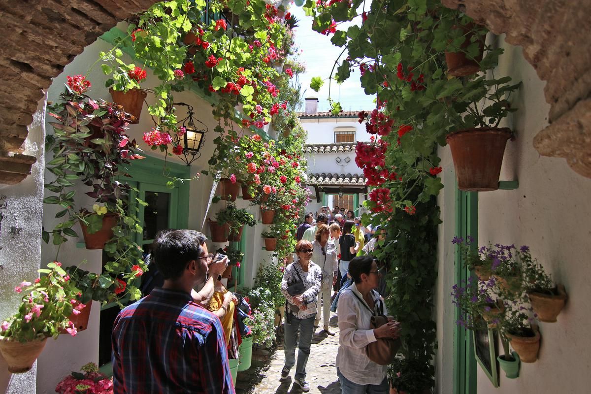 Fotogalería / Empieza el Concurso de Patios Cordobeses