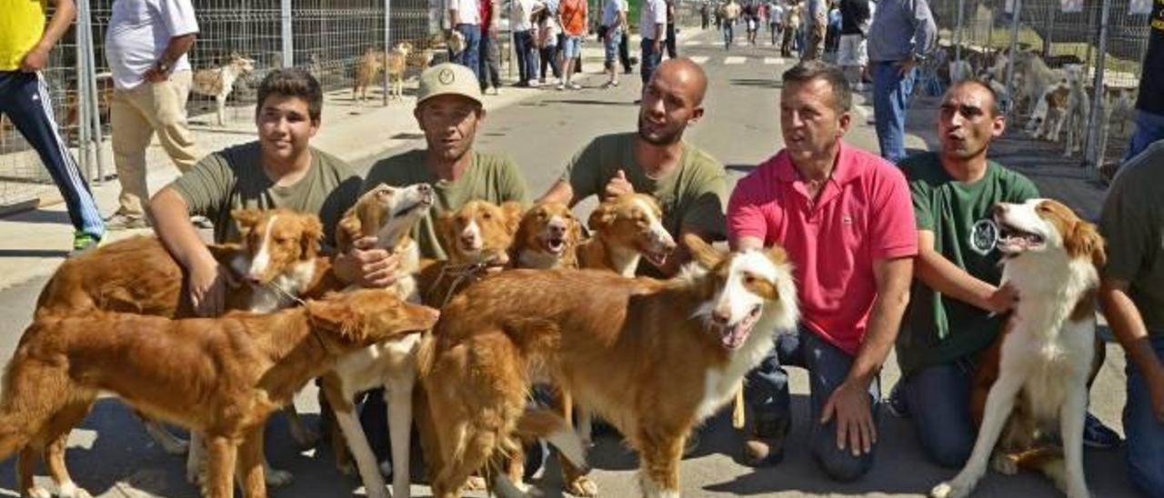 Al rescate del podenco autóctono