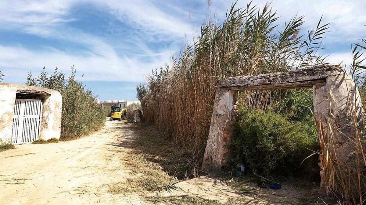 Ses Feixes de Ibiza