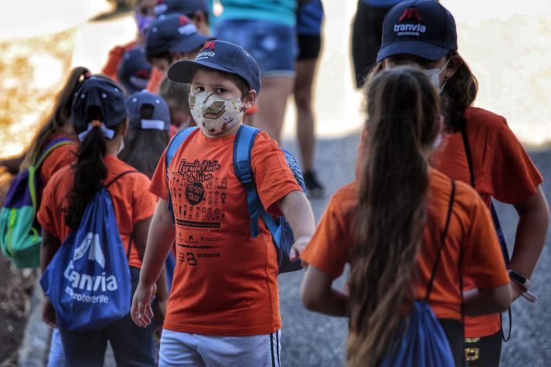 La Escuela Abierta de Verano ?Yo Soy Taco? inicia su sexta edición adaptada a la nueva normalidad | 12/08/2020  | 12/08/2020 | Fotógrafo: María Pisaca Gámez