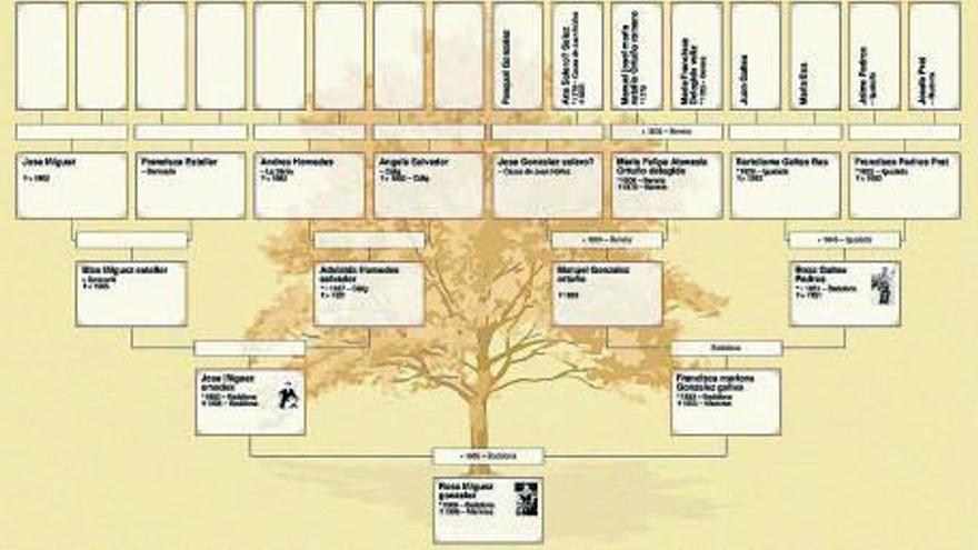 Eines informàtiques per crear un arbre genealògic | DCSTUDIO/FREEPIK