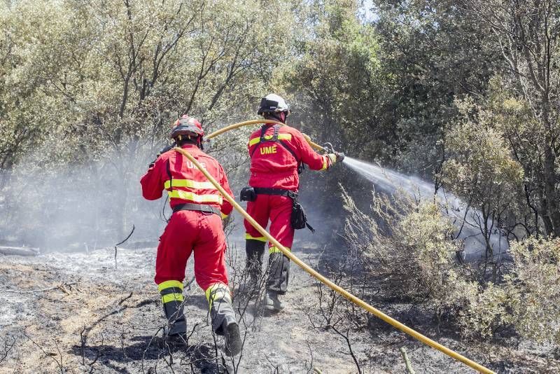 Fotogalería del incendio de las Cinco Villas