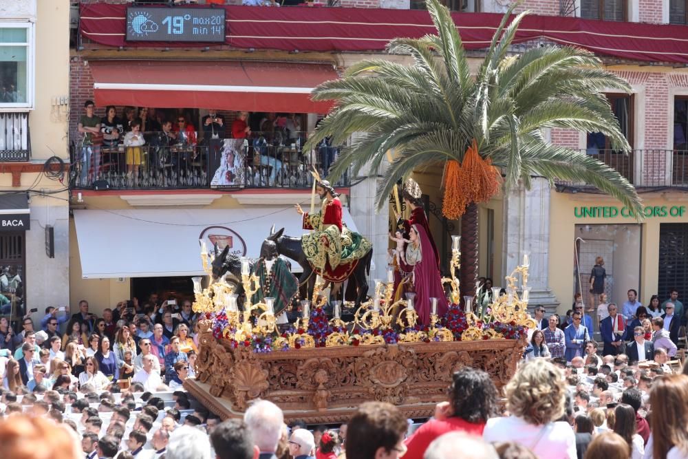 Domingo de Ramos | Pollinica