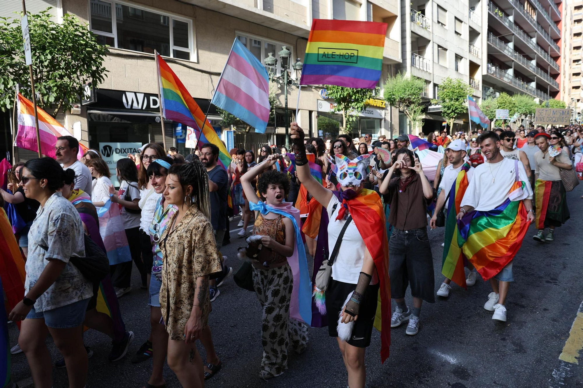 Una multitudinaria marcha celebra el Orgullo más colectivo en Vigo