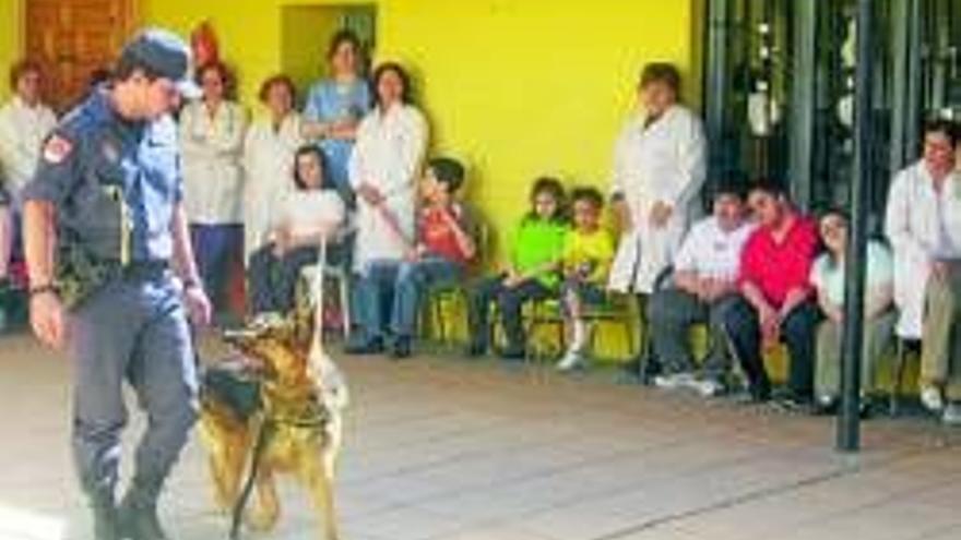 Alumnos de Aprosuba conocen las habilidades de perros policías