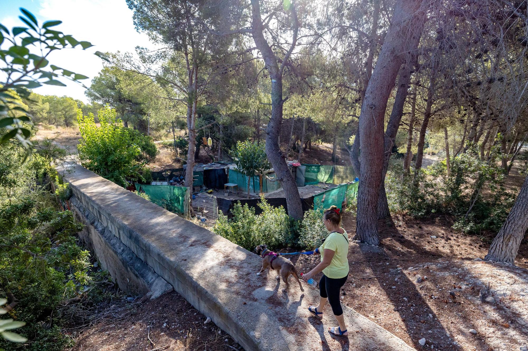 El Consistorio recupera cientos de metros okupados por huertos, casetas para animales o chamizos donde guardar trastos, algunos de ellos desde hace más de tres décadas. Todas las personas han accedido a marcharse de manera voluntaria puesto que nadie tenía en la zona su primera residencia