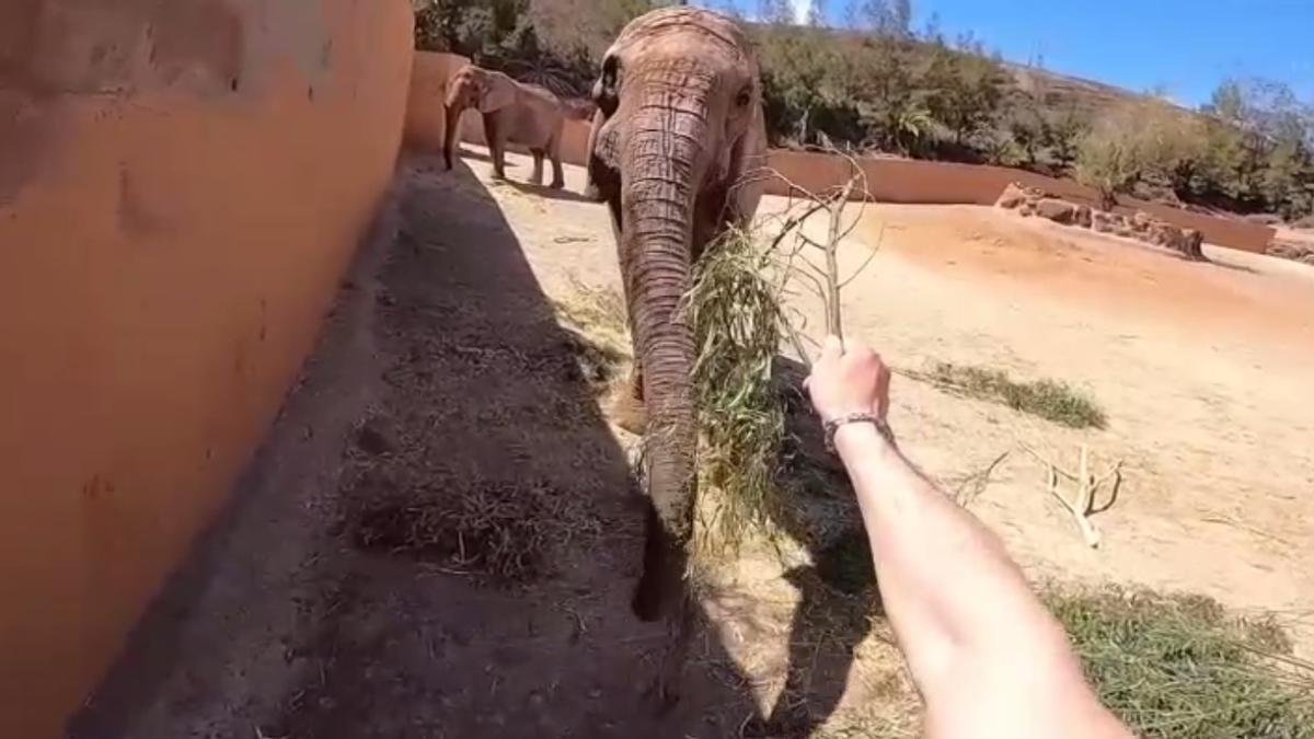 Dos jóvenes se jactan de cometer actos vandálicos en Fuerteventura