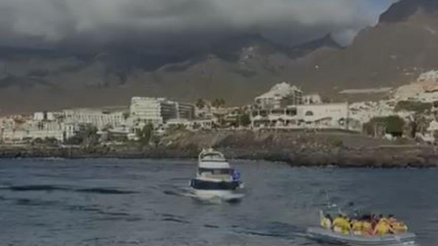 Ataca al capitán y a un marinero de un barco de recreo en Tenerife