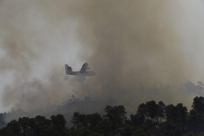 FOTOGALERÍA | El incendio forestal en Nonaspe, en imágenes