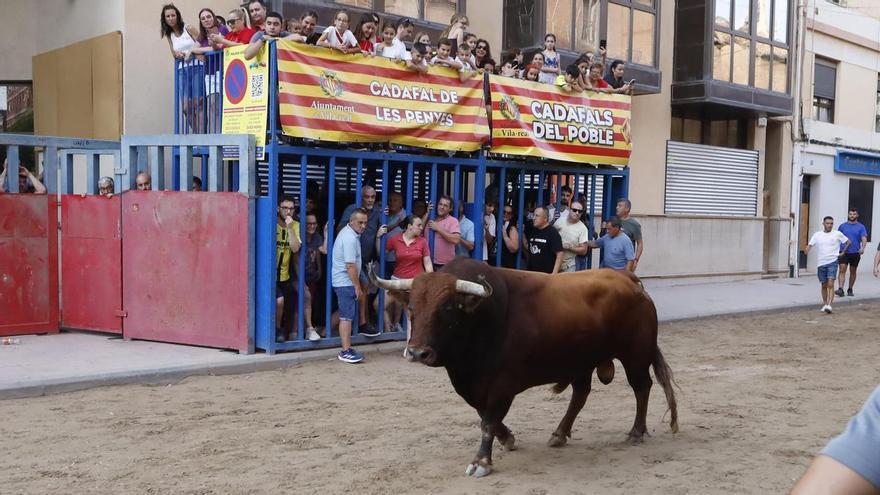 Un minore di 16 anni, ferito dal corno di un toro nelle feste di Vila-real