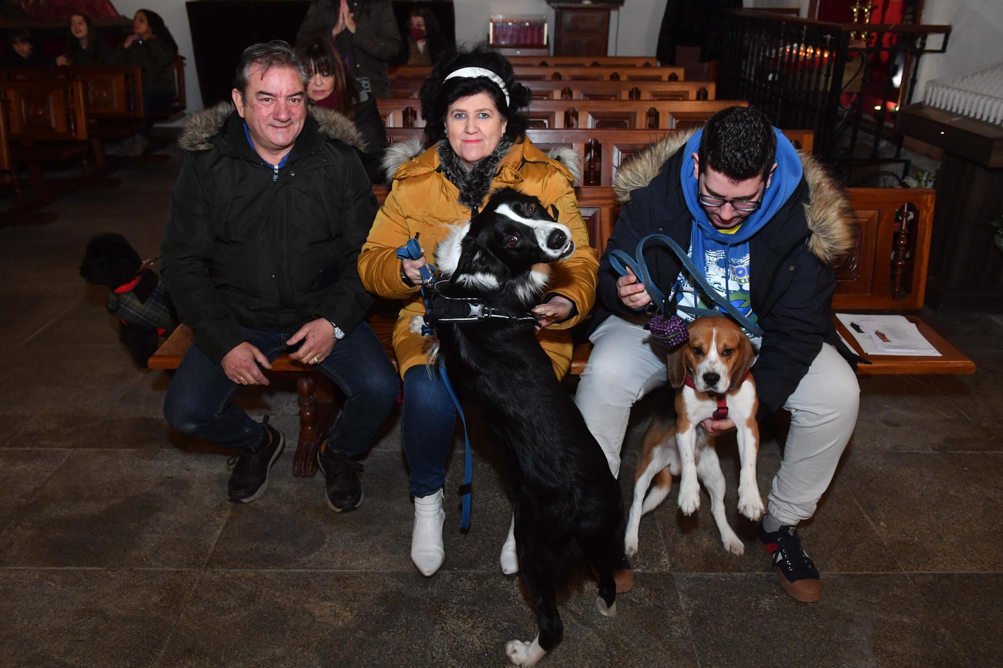 Bendición de mascotas por San Antón en A Coruña