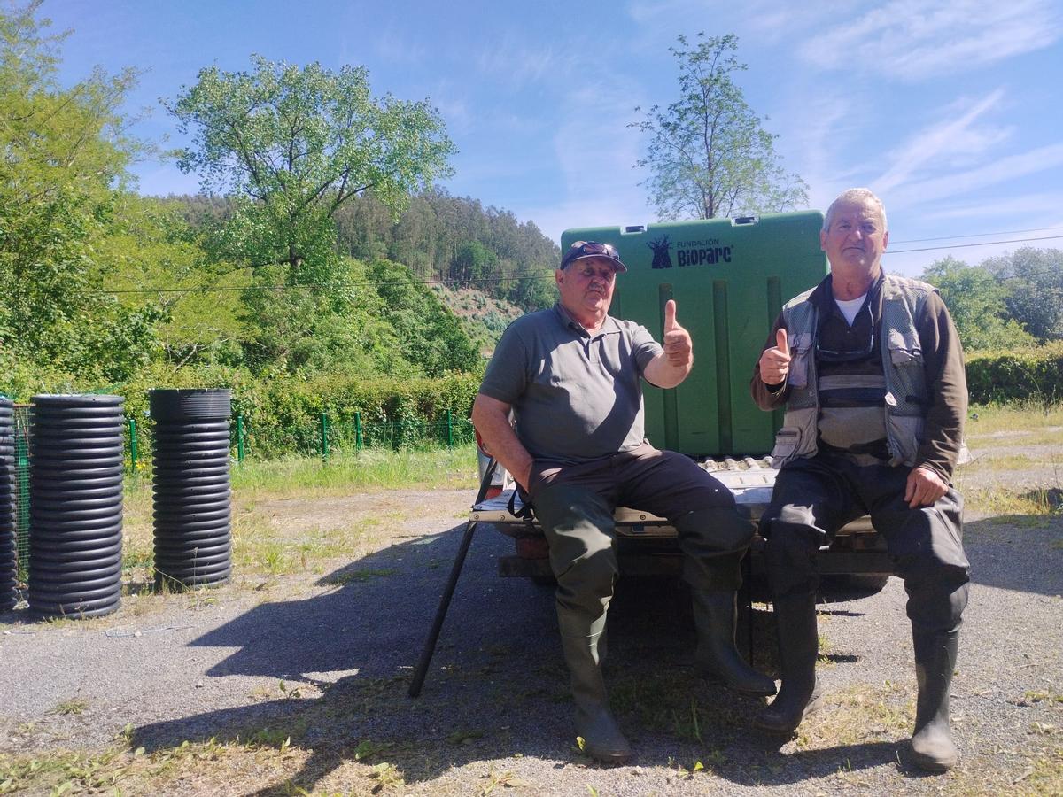 La extracción y traslado en vivo del campanu del Narcea, en imágenes