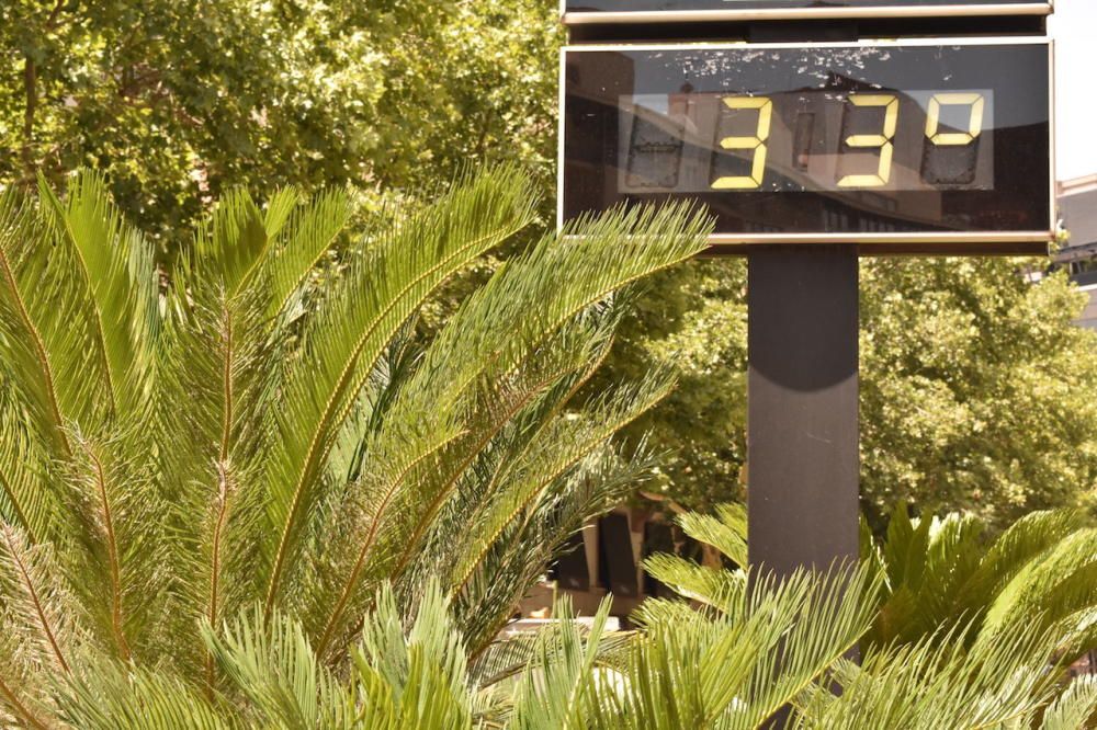 Bis zu 38 Grad: Hitzewelle auf Mallorca