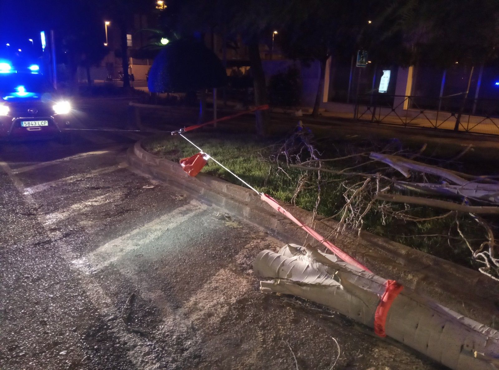 Intensa jornada con barcos varados, hundidos y árboles caídos por el viento en Ibiza y Formentera